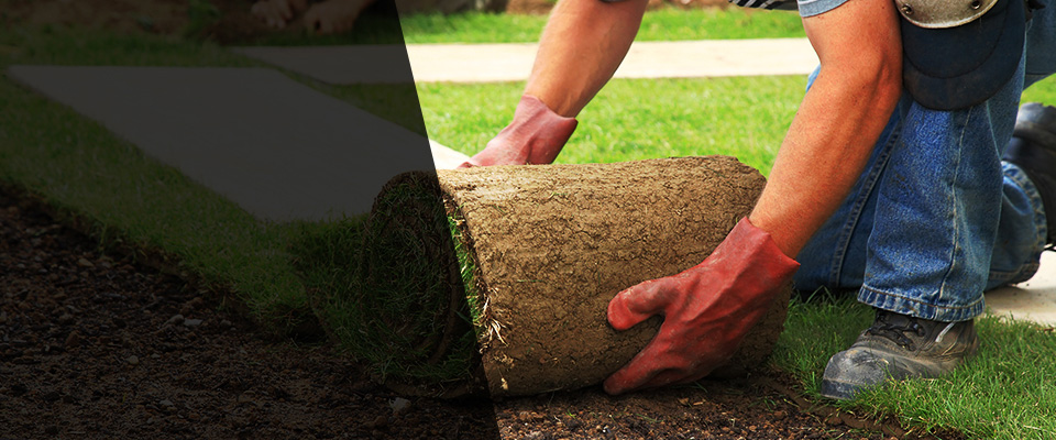 Bellville Landscapers